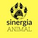 Sinergia Animal Thailand