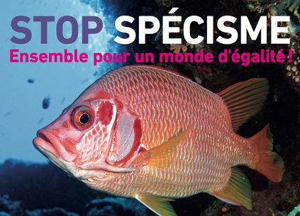 Stop Spécisme-poisson-5.jpg